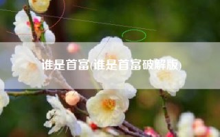 谁是首富(谁是首富破解版)