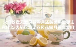 火焰纹章无双风花雪月盗贼破盾需要注意什么(火焰纹章无双风花雪月有恋爱吗)