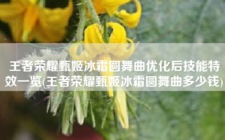 王者荣耀甄姬冰霜圆舞曲优化后技能特效一览(王者荣耀甄姬冰霜圆舞曲多少钱)