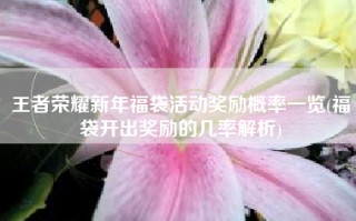 王者荣耀新年福袋活动奖励概率一览(福袋开出奖励的几率解析)