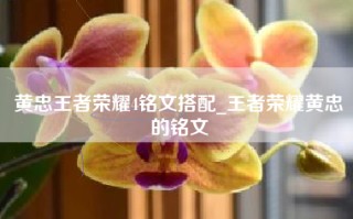 黄忠王者荣耀4铭文搭配_王者荣耀黄忠的铭文