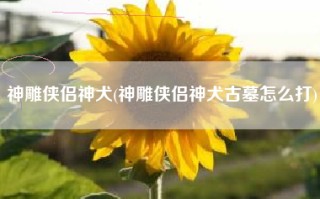 神雕侠侣神犬(神雕侠侣神犬古墓怎么打)