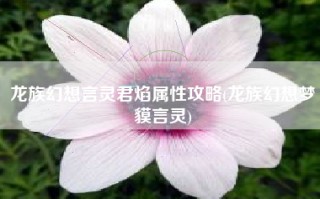 龙族幻想言灵君焰属性攻略(龙族幻想梦貘言灵)