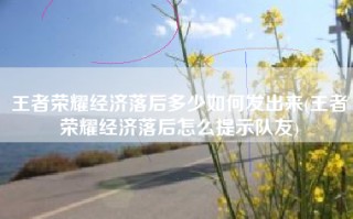 王者荣耀经济落后多少如何发出来(王者荣耀经济落后怎么提示队友)