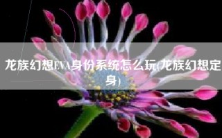 龙族幻想EVA身份系统怎么玩(龙族幻想定身)