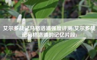 艾尔多战记马格洛浦强度评测(艾尔多战记马格洛浦的记忆片段)