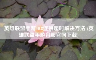 英雄联盟手游10.8连接超时解决方法 (英雄联盟手游台服官网下载)