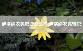 伊洛纳农民职业怎么样(伊洛纳农民转职)