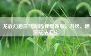 龙族幻想座驾攻略(座驾改装、升级、喷漆玩法汇总)