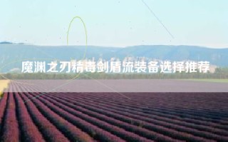 魔渊之刃精毒剑盾流装备选择推荐