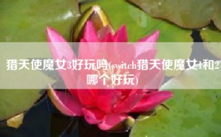猎天使魔女3好玩吗(switch猎天使魔女1和2哪个好玩)