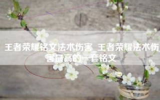 王者荣耀铭文法术伤害_王者荣耀法术伤害最高的一套铭文
