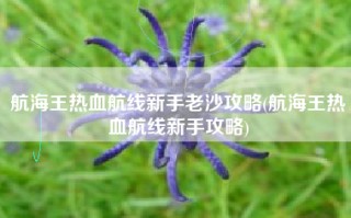 航海王热血航线新手老沙攻略(航海王热血航线新手攻略)