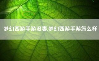 梦幻西游手游没妻,梦幻西游手游怎么样