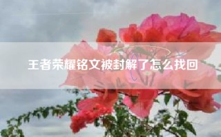 王者荣耀铭文被封解了怎么找回