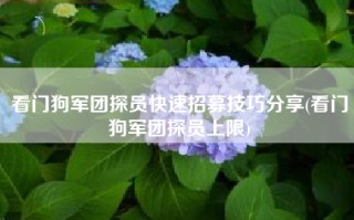 看门狗军团探员快速招募技巧分享(看门狗军团探员上限)