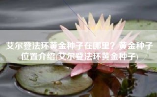 艾尔登法环黄金种子在哪里？黄金种子位置介绍(艾尔登法环黄金种子)