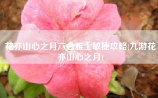 花亦山心之月六合雅士敏捷攻略(九游花亦山心之月)