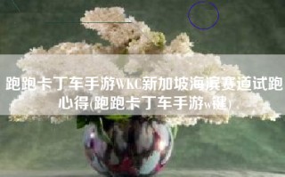 跑跑卡丁车手游WKC新加坡海滨赛道试跑心得(跑跑卡丁车手游w键)