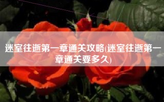 迷室往逝第一章通关攻略(迷室往逝第一章通关要多久)