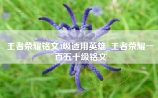 王者荣耀铭文4级适用英雄_王者荣耀一百五十级铭文