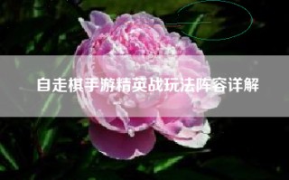 自走棋手游精英战玩法阵容详解