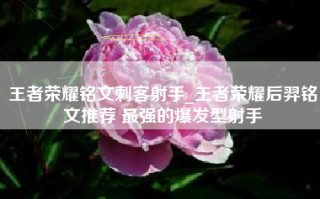 王者荣耀铭文刺客射手_王者荣耀后羿铭文推荐 最强的爆发型射手