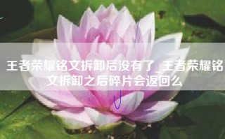 王者荣耀铭文拆卸后没有了_王者荣耀铭文拆卸之后碎片会返回么