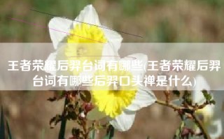 王者荣耀后羿台词有哪些(王者荣耀后羿台词有哪些后羿口头禅是什么)