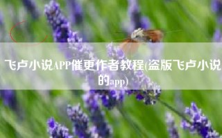 飞卢小说APP催更作者教程(盗版飞卢小说的app)