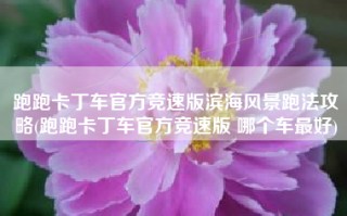 跑跑卡丁车官方竞速版滨海风景跑法攻略(跑跑卡丁车官方竞速版 哪个车最好)