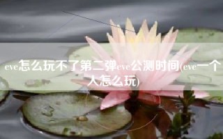 eve怎么玩不了第二弹eve公测时间(eve一个人怎么玩)