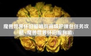 魔兽世界怀旧服哨兵高级护理包任务攻略 (魔兽世界怀旧服狗哨)