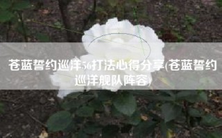 苍蓝誓约巡洋56打法心得分享(苍蓝誓约巡洋舰队阵容)