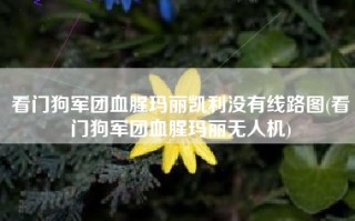 看门狗军团血腥玛丽凯利没有线路图(看门狗军团血腥玛丽无人机)