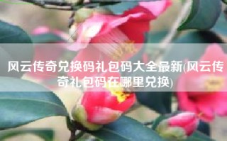 风云传奇兑换码礼包码大全最新(风云传奇礼包码在哪里兑换)