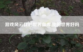 游戏风云我的世界血库,我的世界好吗