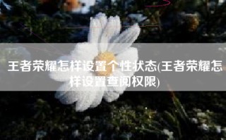 王者荣耀怎样设置个性状态(王者荣耀怎样设置查阅权限)