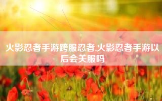 火影忍者手游跨服忍者,火影忍者手游以后会关服吗
