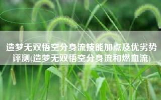 造梦无双悟空分身流技能加点及优劣势评测(造梦无双悟空分身流和燃血流)