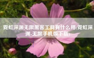 霓虹深渊无限黑客工具有什么用(霓虹深渊-无限手机版下载)