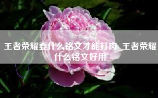 王者荣耀要什么铭文才能打肉_王者荣耀什么铭文好用