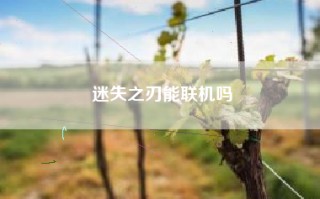 迷失之刃能联机吗