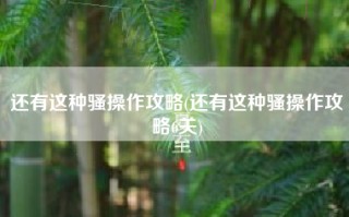 还有这种骚操作攻略(还有这种骚操作攻略6关)