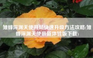 雏蜂深渊天使开局快速升级方法攻略(雏蜂深渊天使最新体验版下载)