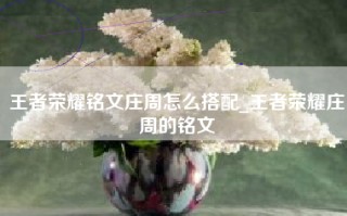 王者荣耀铭文庄周怎么搭配_王者荣耀庄周的铭文