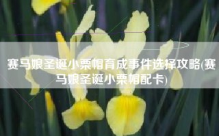 赛马娘圣诞小栗帽育成事件选择攻略(赛马娘圣诞小栗帽配卡)