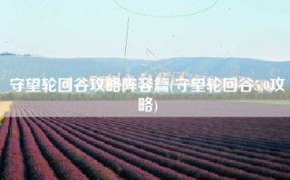 守望轮回谷攻略阵容篇(守望轮回谷5.0攻略)