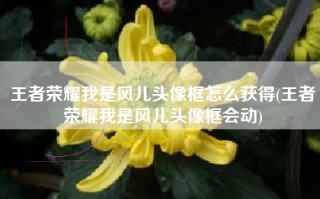 王者荣耀我是风儿头像框怎么获得(王者荣耀我是风儿头像框会动)