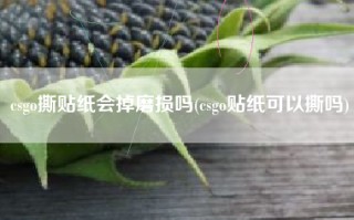 csgo撕贴纸会掉磨损吗(csgo贴纸可以撕吗)